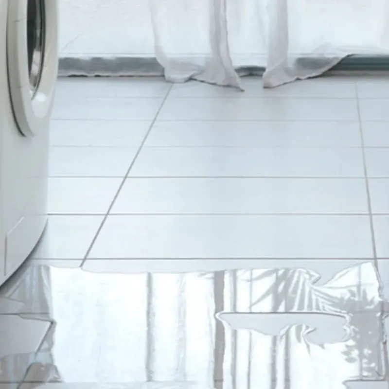 Appliance Leak Cleanup in Canton, MO