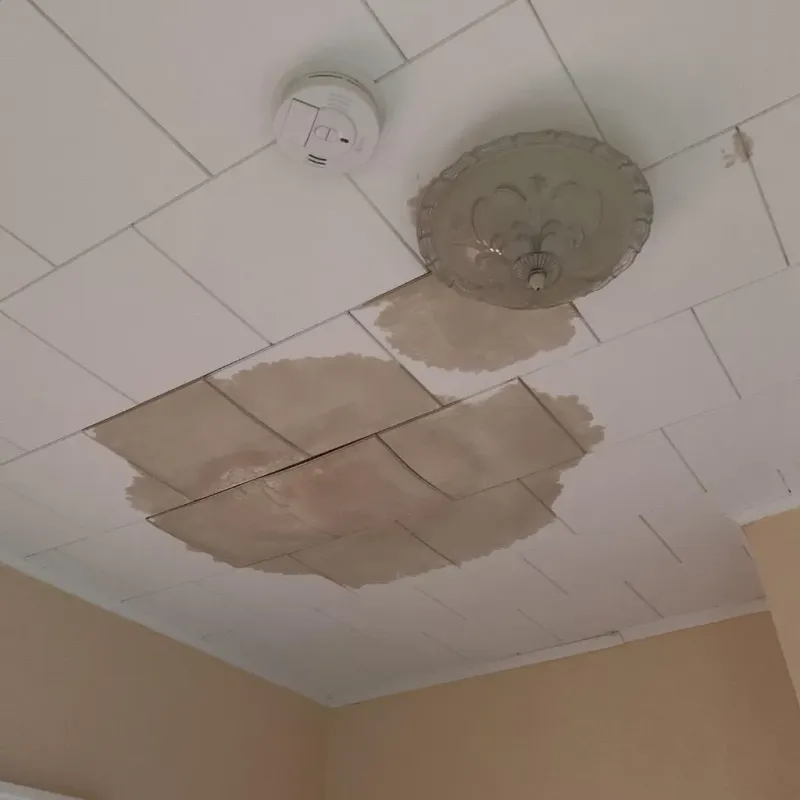 Ceiling Water Damage Repair in Canton, MO