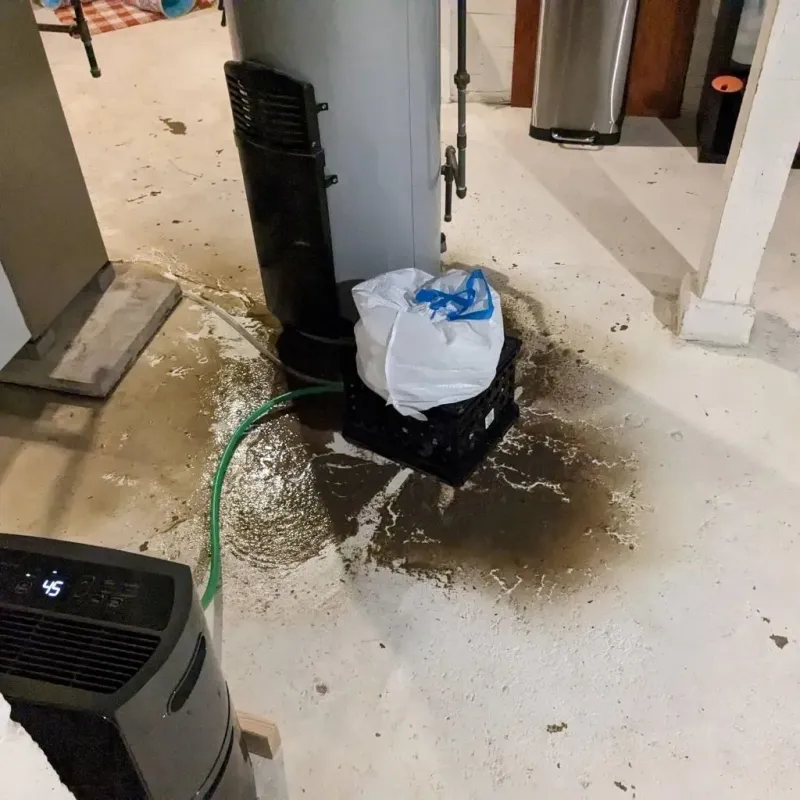 Sewage Backup Cleanup Service in Canton, MO